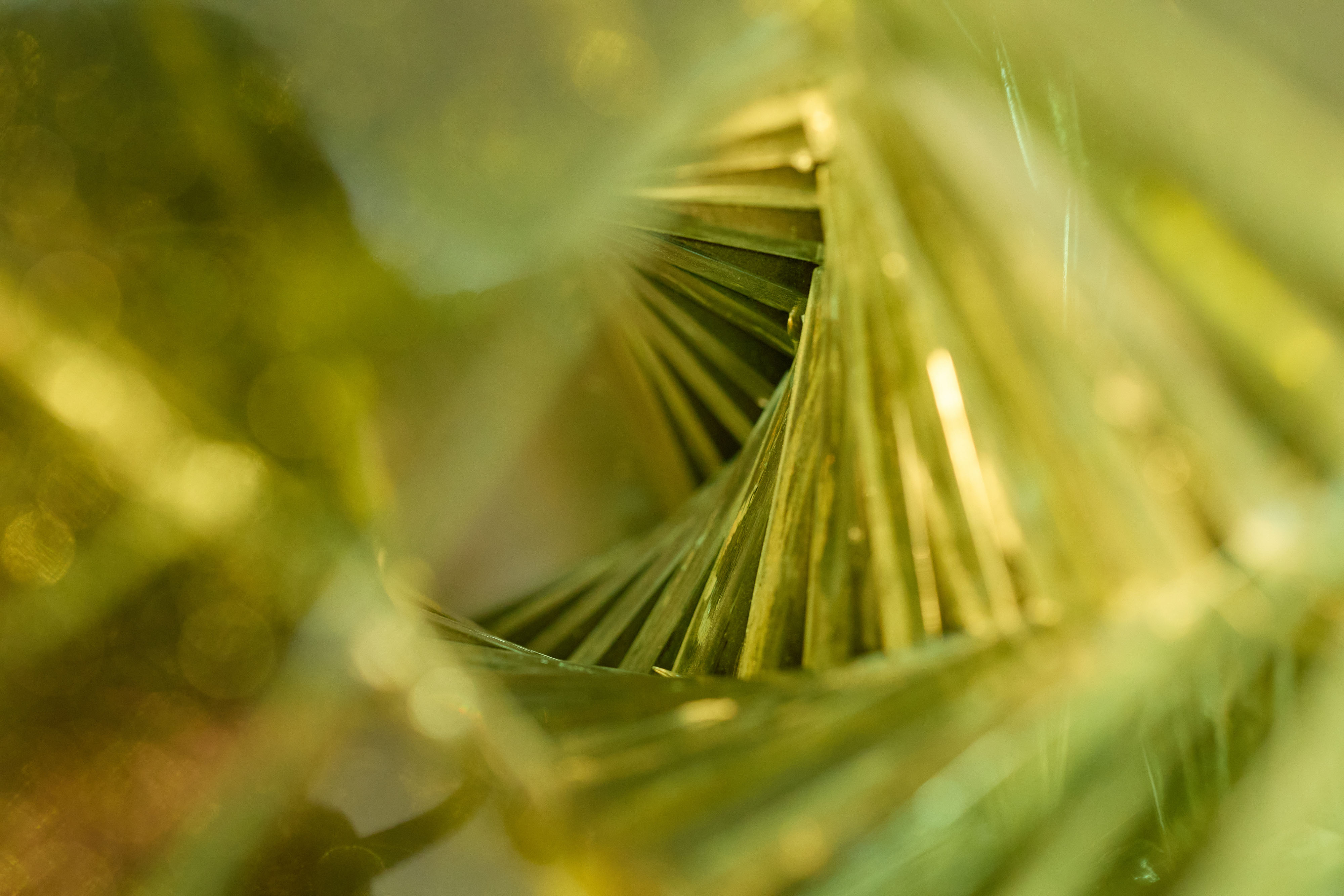 Silt Crystal Glass detail4